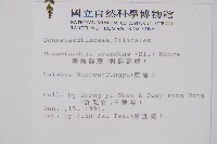 刺柄碗蕨藏品圖，第2張