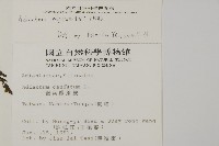 愛氏鐵線蕨藏品圖，第2張