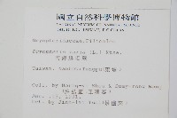 南海鱗毛蕨藏品圖，第2張