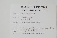 天草鳳尾蕨藏品圖，第2張