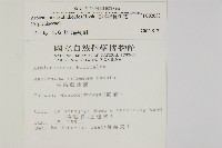 骨碎補鐵角蕨藏品圖，第2張