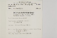 骨碎補鐵角蕨藏品圖，第2張