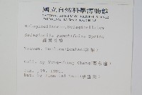 疏葉卷柏藏品圖，第2張