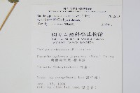 栗柄副金星蕨藏品圖，第2張