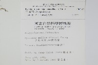 玉山石葦藏品圖，第2張