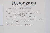 羽葉鱗蓋蕨藏品圖，第2張