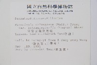 羽葉鱗蓋蕨藏品圖，第2張