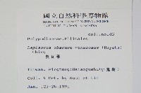 擬芨瓦葦藏品圖，第2張