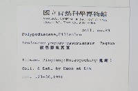 擬烏蘇里瓦葦藏品圖，第2張