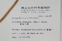 盧山石葦藏品圖，第2張