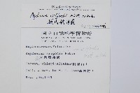 威氏鐵角蕨藏品圖，第2張