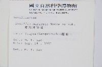 海州骨碎補藏品圖，第2張