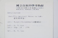 海州骨碎補藏品圖，第2張