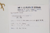 過山龍藏品圖，第2張