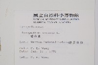 過山龍藏品圖，第2張