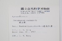 過山龍藏品圖，第2張