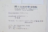 烏毛蕨藏品圖，第2張