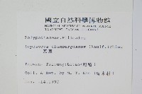 瓦葦藏品圖，第2張