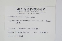 瓦葦藏品圖，第2張