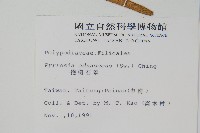 抱樹石葦藏品圖，第2張