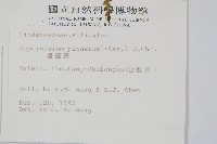 達邊蕨藏品圖，第2張