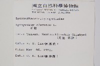 玉山石松藏品圖，第2張