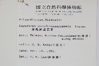 擬烏蘇里瓦葦藏品圖，第2張