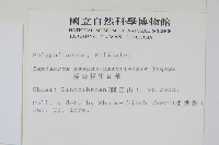 擬烏蘇里瓦葦藏品圖，第2張