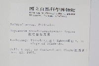 擬烏蘇里瓦葦藏品圖，第2張