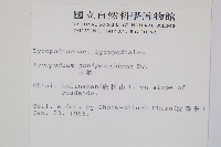 玉柏藏品圖，第2張