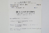 地刷子藏品圖，第2張