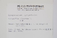 石松藏品圖，第2張