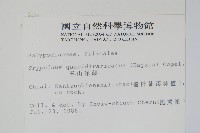 玉山茀蕨藏品圖，第2張