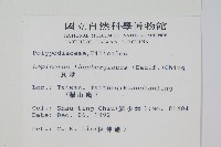 瓦葦藏品圖，第2張