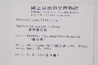 綠柄鐵角蕨藏品圖，第2張