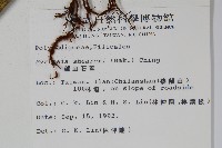 盧山石葦藏品圖，第2張