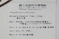 盧山石葦藏品圖，第2張