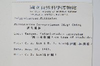 波氏星蕨藏品圖，第2張