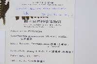 貞蕨藏品圖，第2張