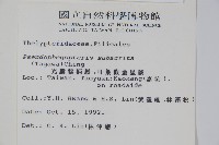 光囊紫柄蕨藏品圖，第2張