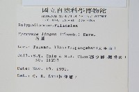 石葦藏品圖，第2張