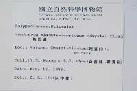 粵瓦葦藏品圖，第2張