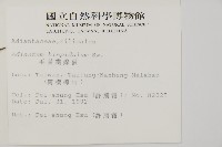 毛葉鐵線蕨藏品圖，第2張