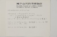 臺灣高山鐵線蕨藏品圖，第2張