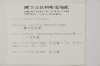 團羽鐵線蕨、團葉鐵線蕨、對葉鐵線蕨藏品圖，第2張