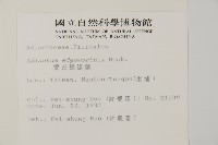 愛氏鐵線蕨藏品圖，第2張