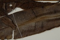 鹵蕨藏品圖，第5張