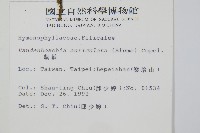 瓶蕨藏品圖，第2張