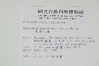 抱樹石葦藏品圖，第2張