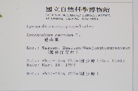 過山龍藏品圖，第2張